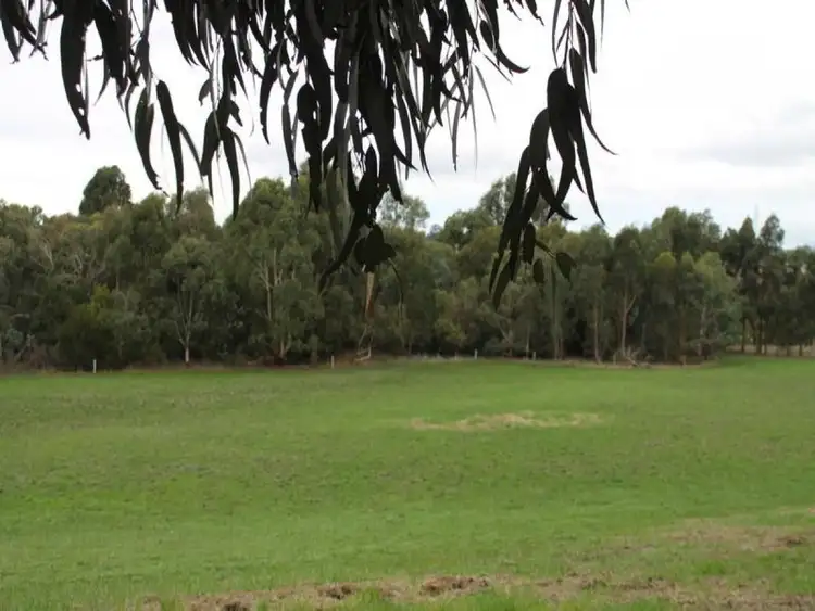 Seventh view of Homely rural property listing, 365 Irrewillipe Road, Elliminyt VIC 3250