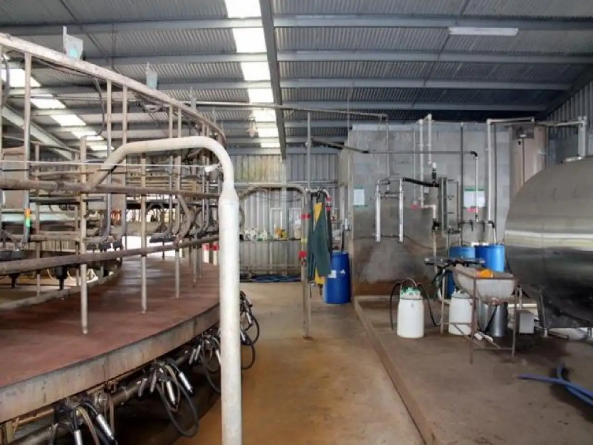 Main view of Homely rural property listing, 3199 Cobden - Lavers Hill Road, Simpson VIC 3266