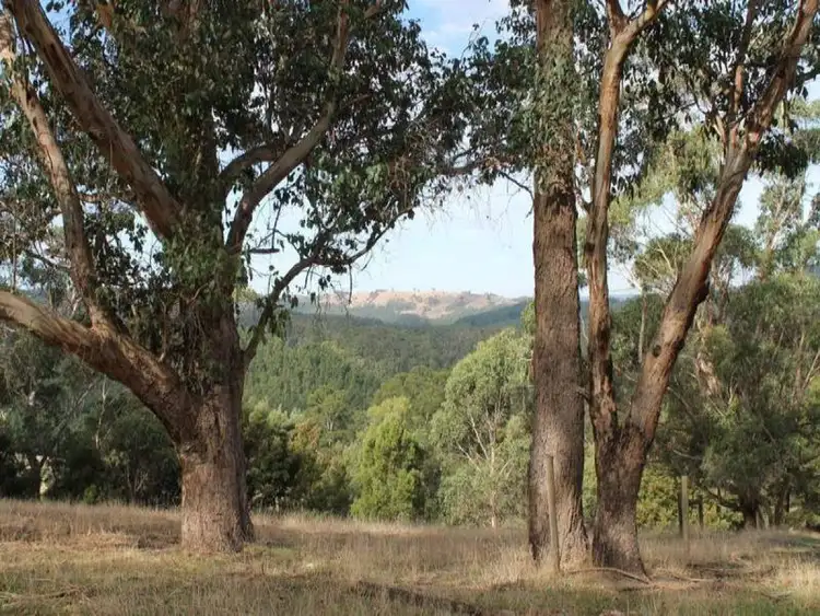Second view of Homely rural property listing, 1695 Carlisle Road, Carlisle River VIC 3239