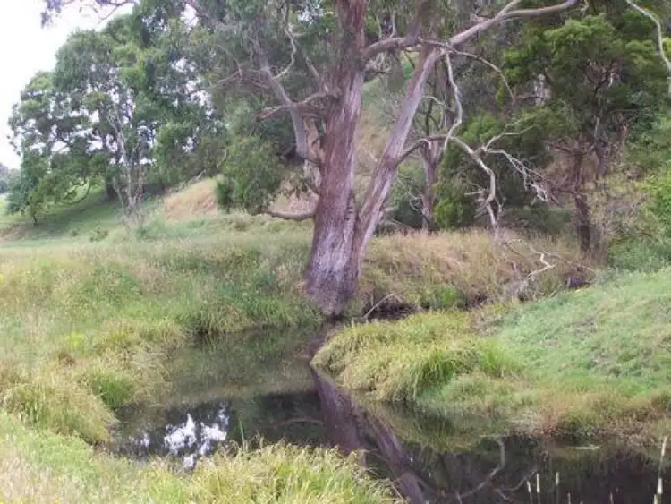 Second view of Homely rural property listing, 2745 Colac-Forrest Road, Forrest VIC 3236