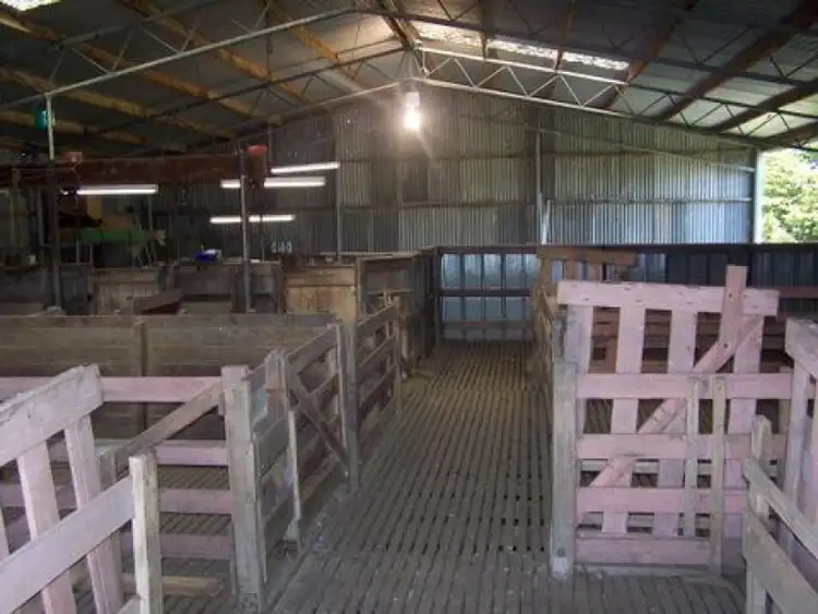 Fifth view of Homely rural property listing, 460 Ramsay Road, Irrewarra VIC 3249