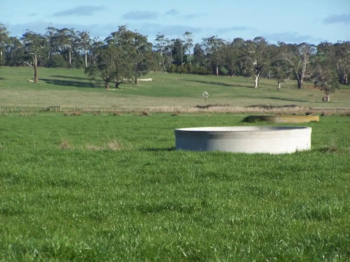 Main view of Homely rural property listing, 370 Swan Marsh Irrewillipe Road, Colac VIC 3250