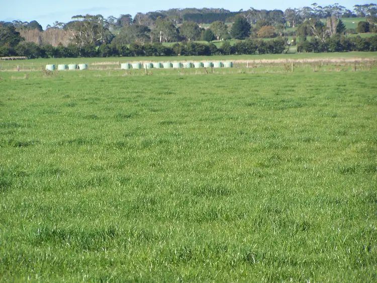 Second view of Homely rural property listing, 370 Swan Marsh Irrewillipe Road, Colac VIC 3250