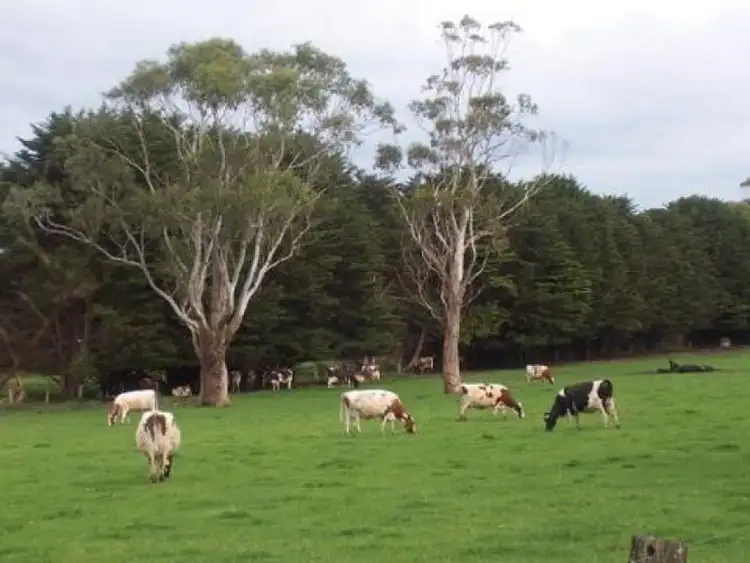Third view of Homely rural property listing, 370 Swan Marsh Irrewillipe Road, Colac VIC 3250