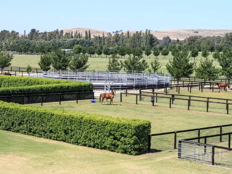 Second view of Homely rural property listing, 2401 Putty Road, Broke NSW 2330