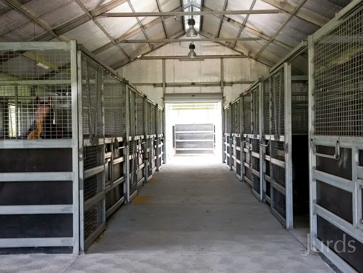 Fourth view of Homely rural property listing, 2401 Putty Road, Broke NSW 2330