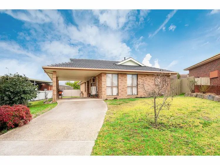 Main view of Homely house listing, 10 Mitta Grove, Lavington NSW 2641