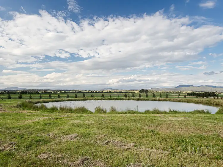 Third view of Homely rural property listing, 19 Busby Road, Lower Belford NSW 2335