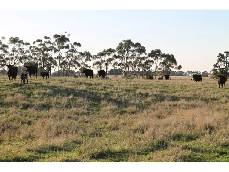 Sixth view of Homely rural property listing, 140 Nicholas Lane, Birregurra VIC 3242