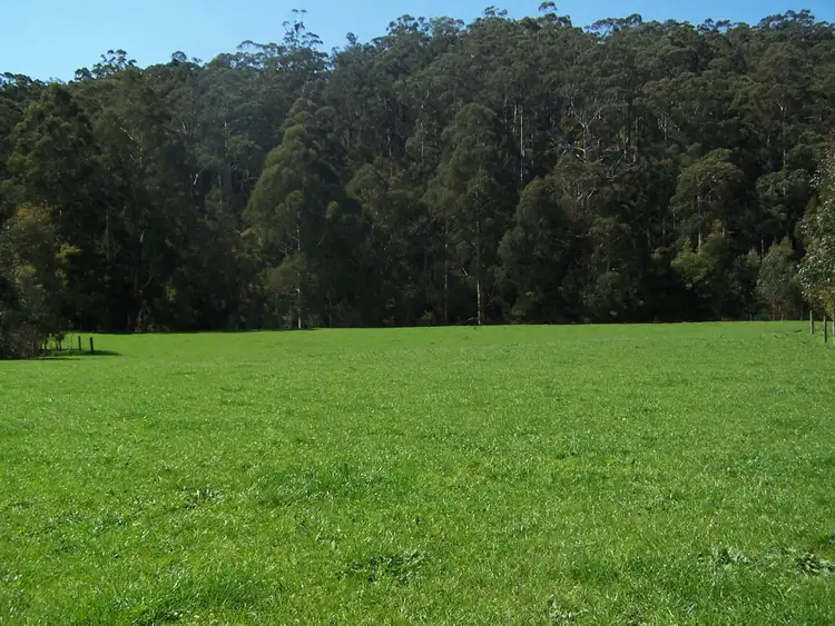 195 Lardners Track, Gellibrand VIC 3239