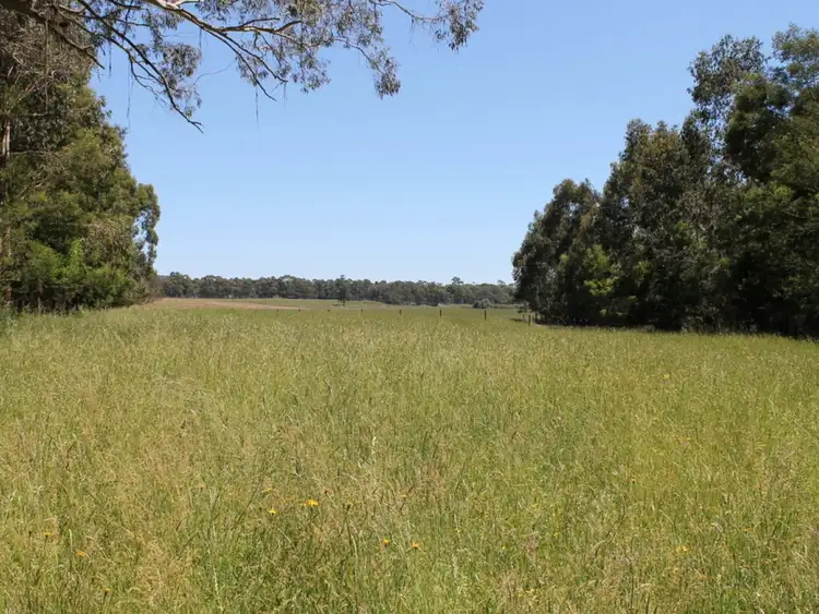 Seventh view of Homely rural property listing, 195 Lardners Track, Gellibrand VIC 3239