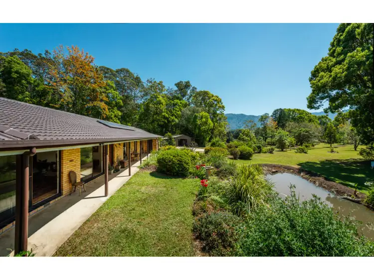 174 promised land Road, Bellingen NSW 2454