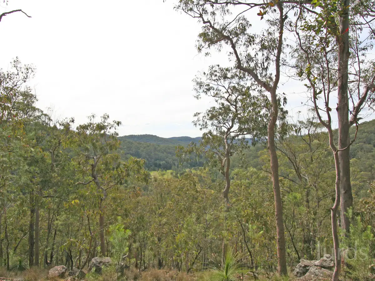 Main view of Homely rural property listing, 136 Blackwattle Track, Laguna NSW 2325