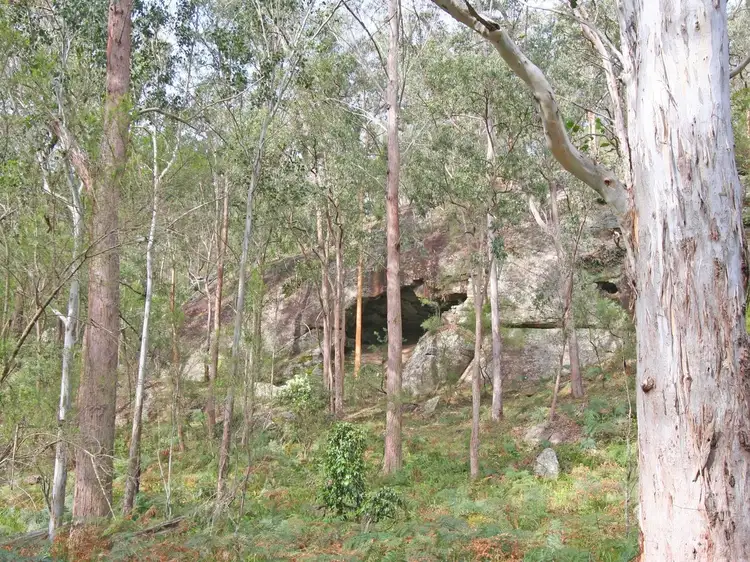 Second view of Homely rural property listing, 136 Blackwattle Track, Laguna NSW 2325