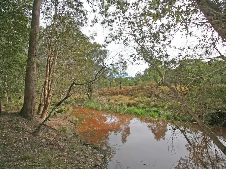 Third view of Homely rural property listing, 136 Blackwattle Track, Laguna NSW 2325