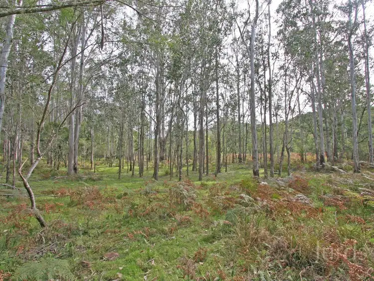 Seventh view of Homely rural property listing, 136 Blackwattle Track, Laguna NSW 2325