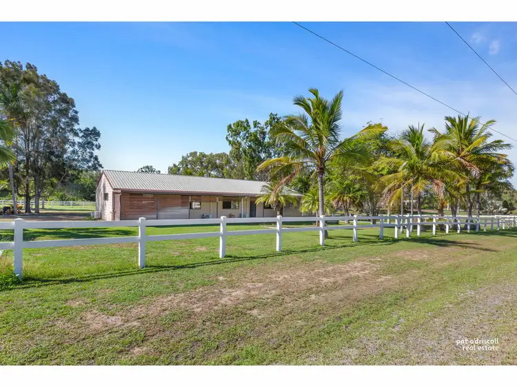Third view of Homely rural property listing, 135 Oxley Street, Gracemere QLD 4702