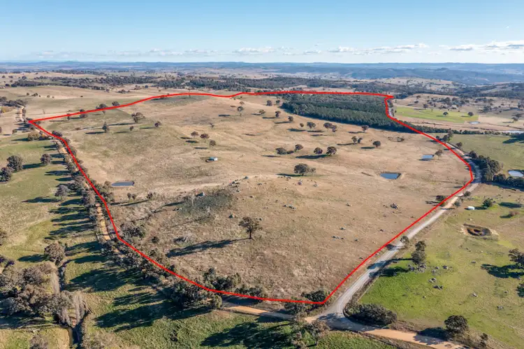 Seventh view of Homely rural property listing, 28 Sapphire Road, Biala NSW 2581