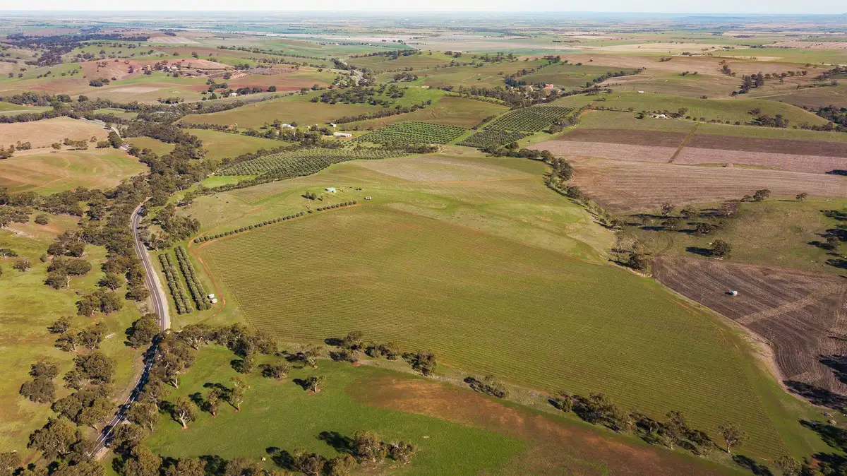 Main view of Homely rural property listing, LOT 527 Balaklava Road, Auburn SA 5451