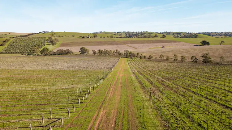 Second view of Homely rural property listing, LOT 527 Balaklava Road, Auburn SA 5451