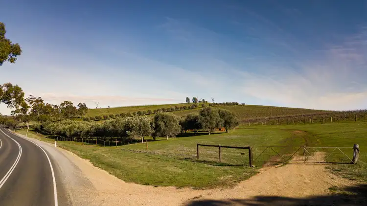 Fourth view of Homely rural property listing, LOT 527 Balaklava Road, Auburn SA 5451