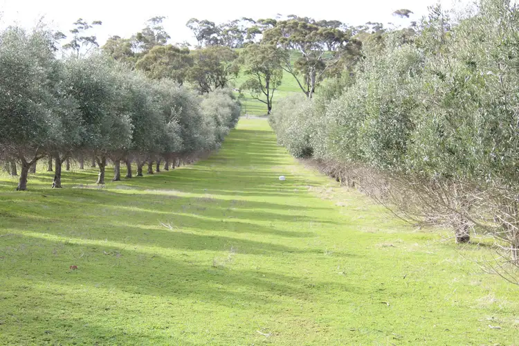 Fifth view of Homely rural property listing, LOT 527 Balaklava Road, Auburn SA 5451