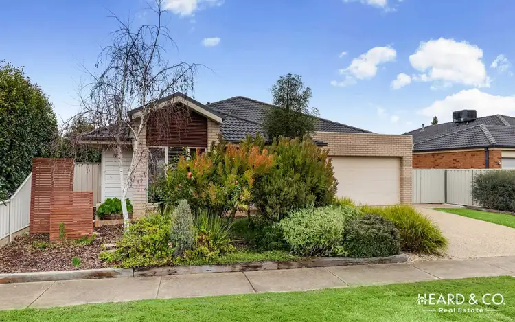 8 Mcconnachie Court, Ascot VIC 3551