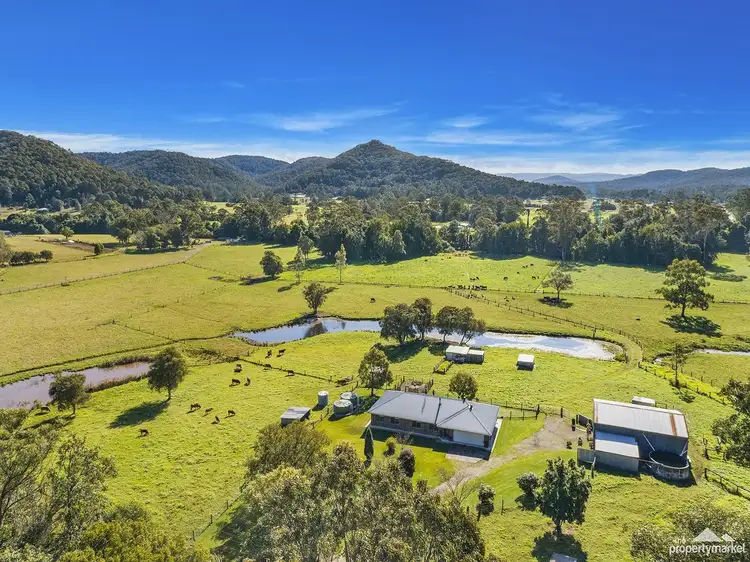 57 Little Jilliby Road, Little Jilliby NSW 2259