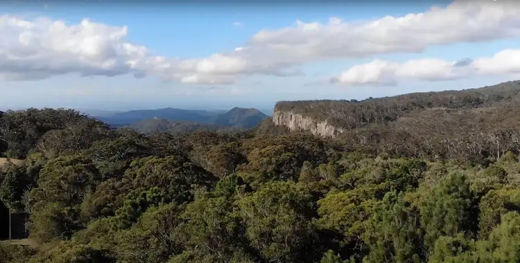 Main view of Homely land listing, 2768 Springbrook Road, Springbrook QLD 4213