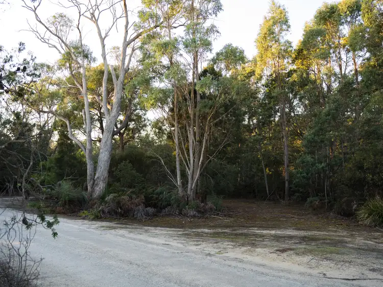 Third view of Homely land listing, LOT 1 Eagle Point Road, Bakers Beach TAS 7307