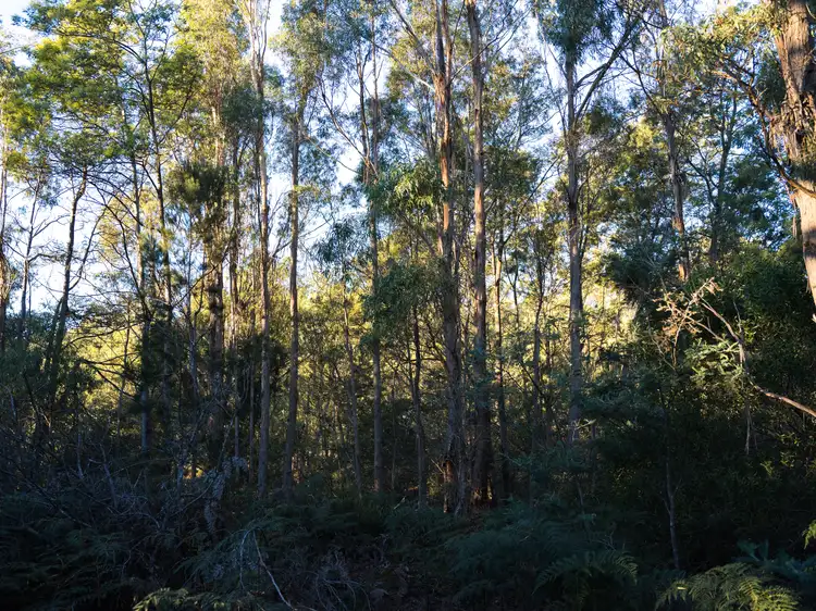 Fifth view of Homely land listing, LOT 1 Eagle Point Road, Bakers Beach TAS 7307