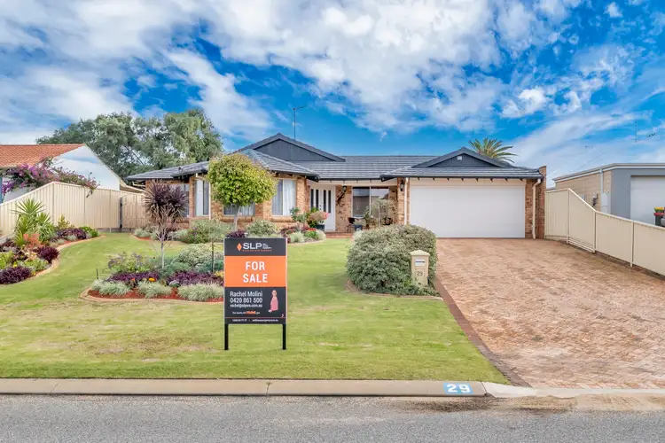 Main view of Homely house listing, 29 Murdoch Drive, Singleton WA 6175