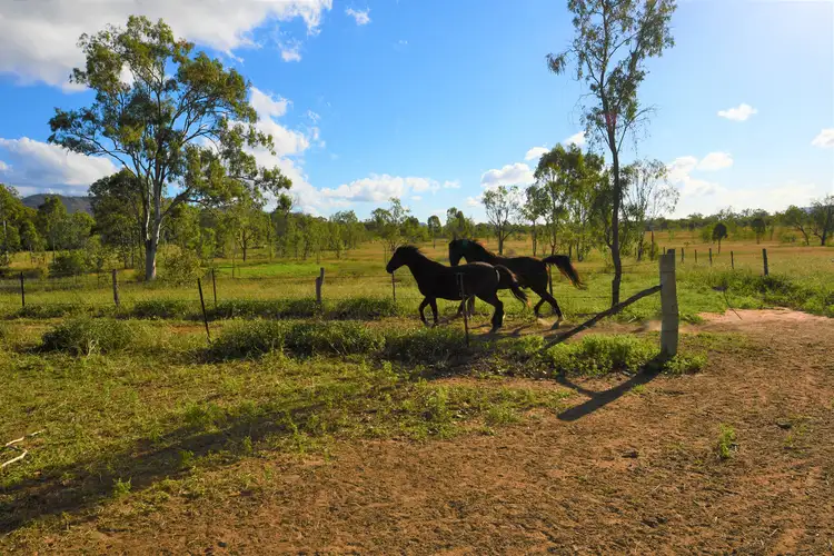 Third view of Homely rural property listing, 12 Carroll Lane, Bouldercombe QLD 4702