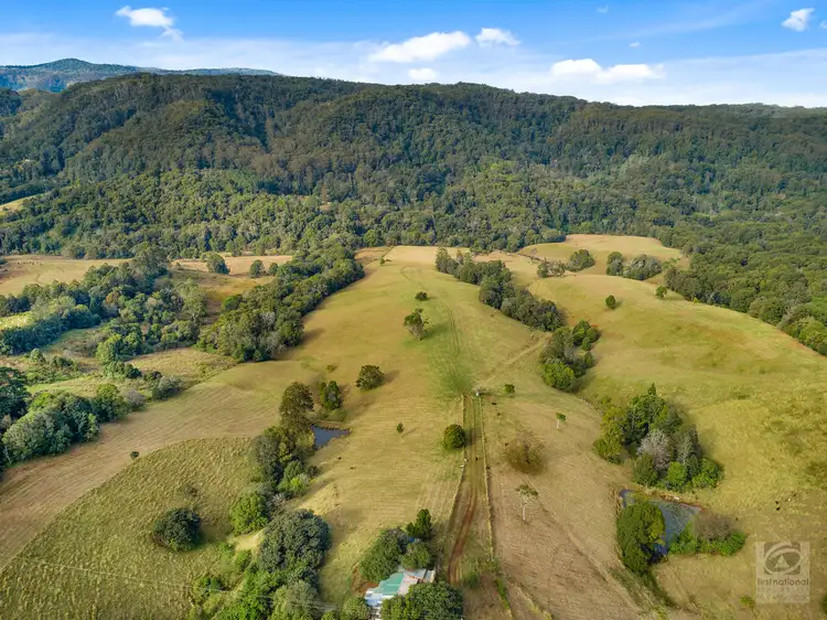 Main view of Homely rural property listing, 1242 Tuntable Creek Road, Nimbin NSW 2480