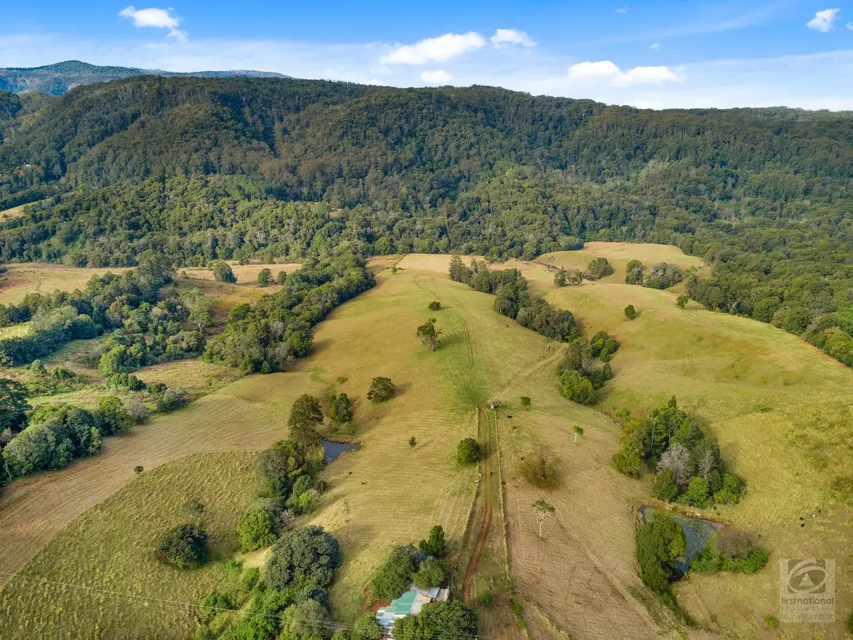 Main view of Homely rural property listing, 1242 Tuntable Creek Road, Nimbin NSW 2480