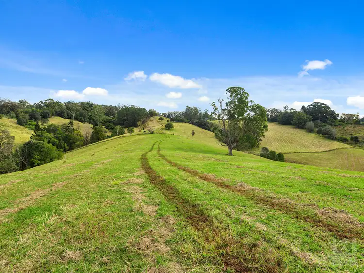 Second view of Homely rural property listing, 1242 Tuntable Creek Road, Nimbin NSW 2480