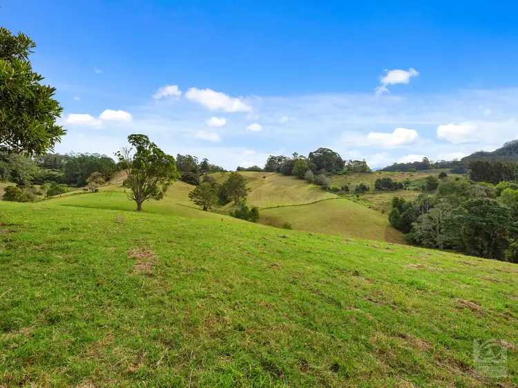 Fourth view of Homely rural property listing, 1242 Tuntable Creek Road, Nimbin NSW 2480