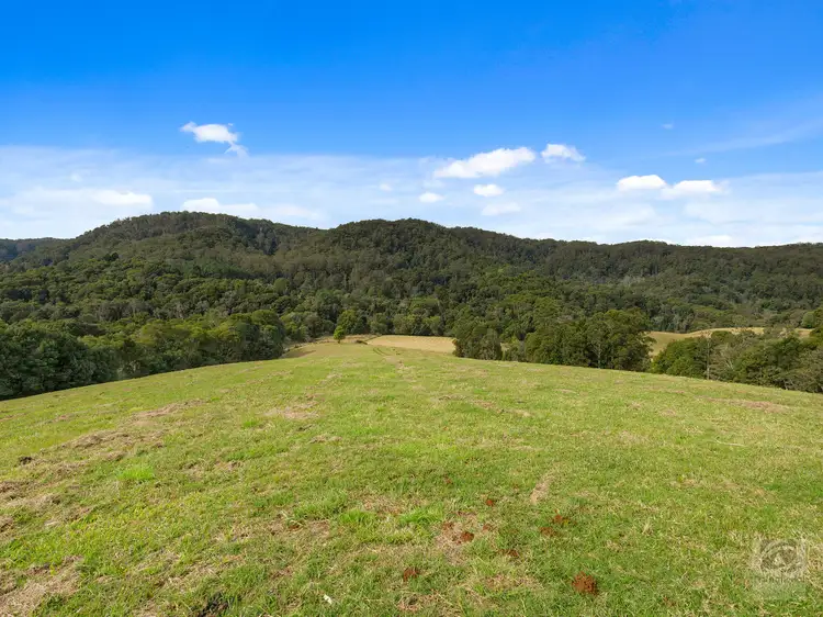 Fifth view of Homely rural property listing, 1242 Tuntable Creek Road, Nimbin NSW 2480