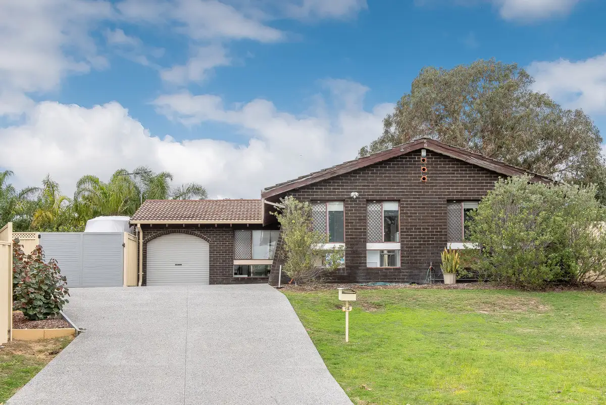 Main view of Homely house listing, 14 Seaflower Crescent, Craigie WA 6025