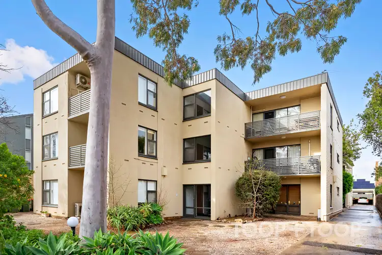 11/141 Buxton Street, North Adelaide SA 5006
