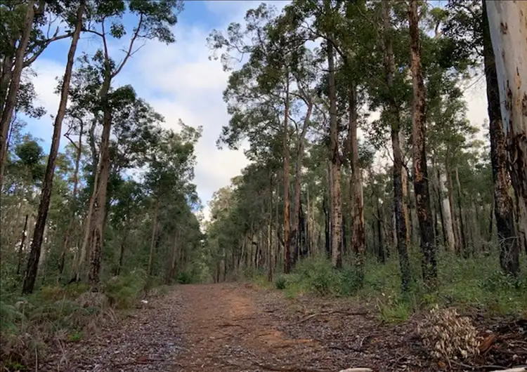 Sixth view of Homely land listing, LOT 26 KARRI Lane, Quinninup WA 6258