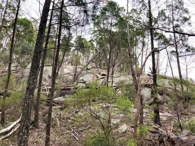 LOT 17, 157 Browns Lane, Greenlands QLD 4380