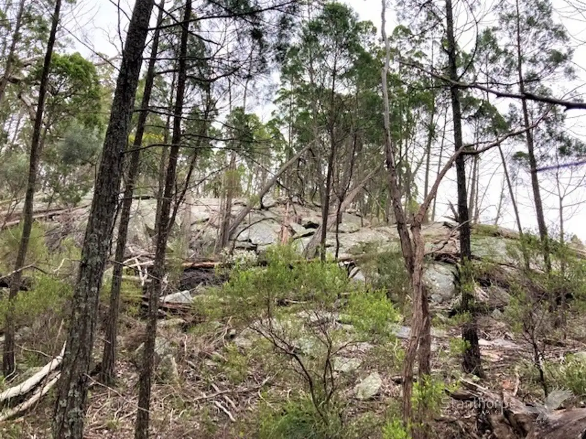 Main view of Homely land listing, LOT 17, 157 Browns Lane, Greenlands QLD 4380