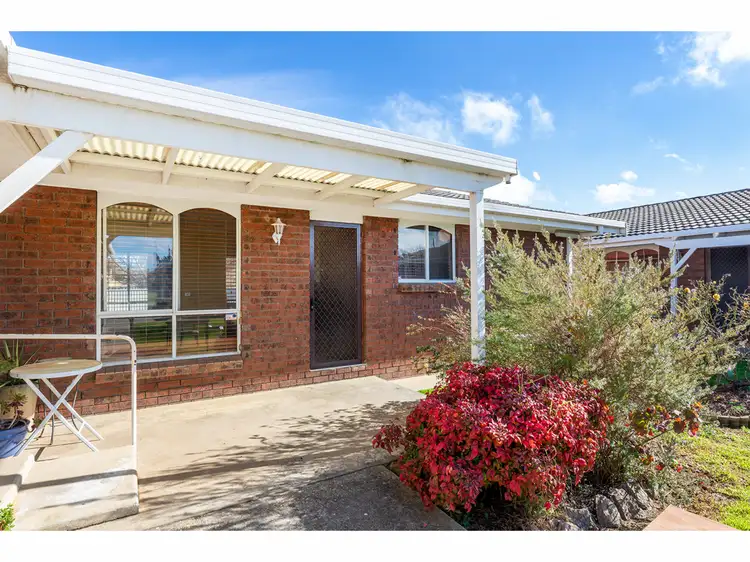 Main view of Homely unit listing, 3/421 Bevan Street, Lavington NSW 2641