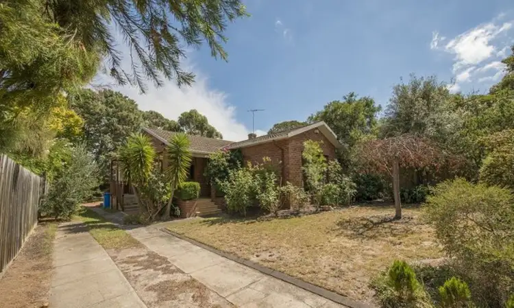 17 Bateman Street, Hampton VIC 3188