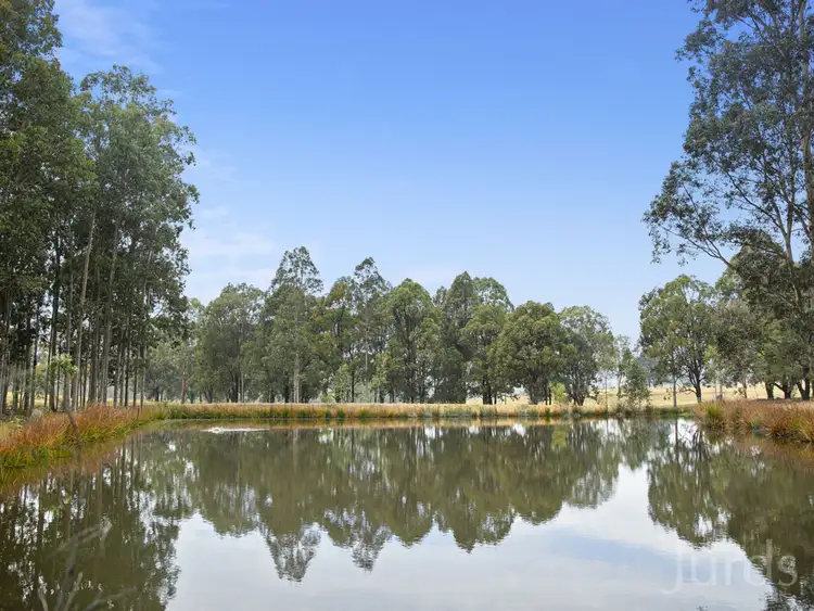 Second view of Homely rural property listing, 42 Big Ridge Lane, Sedgefield NSW 2330