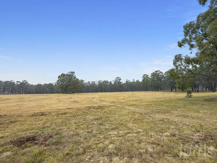 Fourth view of Homely rural property listing, 42 Big Ridge Lane, Sedgefield NSW 2330