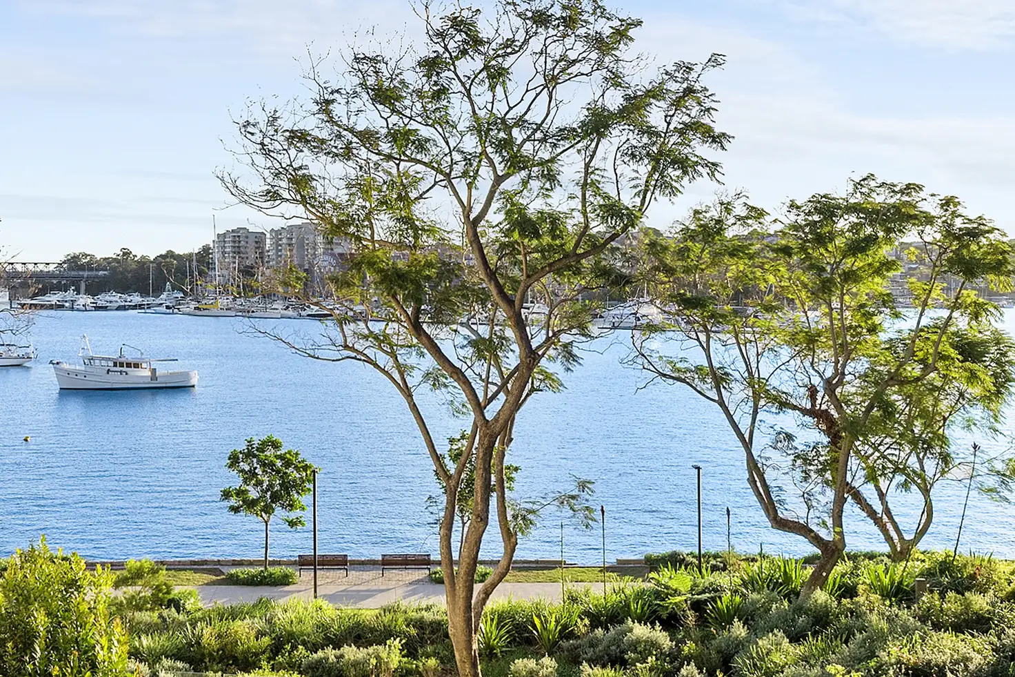 Main view of Homely apartment listing, 101/110 Elliott Street, Balmain NSW 2041