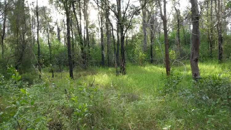 Second view of Homely rural property listing, LOT 41 & 42 Old Wyan Road, Rappville NSW 2469
