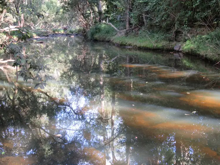 Fourth view of Homely rural property listing, LOT 41 & 42 Old Wyan Road, Rappville NSW 2469